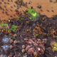 Illustration for article titled StarCraft II Beta Gets Map Editor This Week, Mac Version Next Week